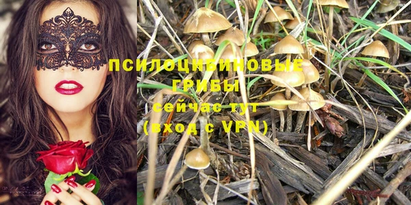 ECSTASY Алексеевка