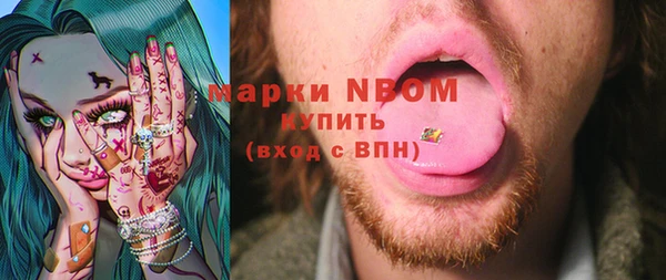 прущие грибы Ельня